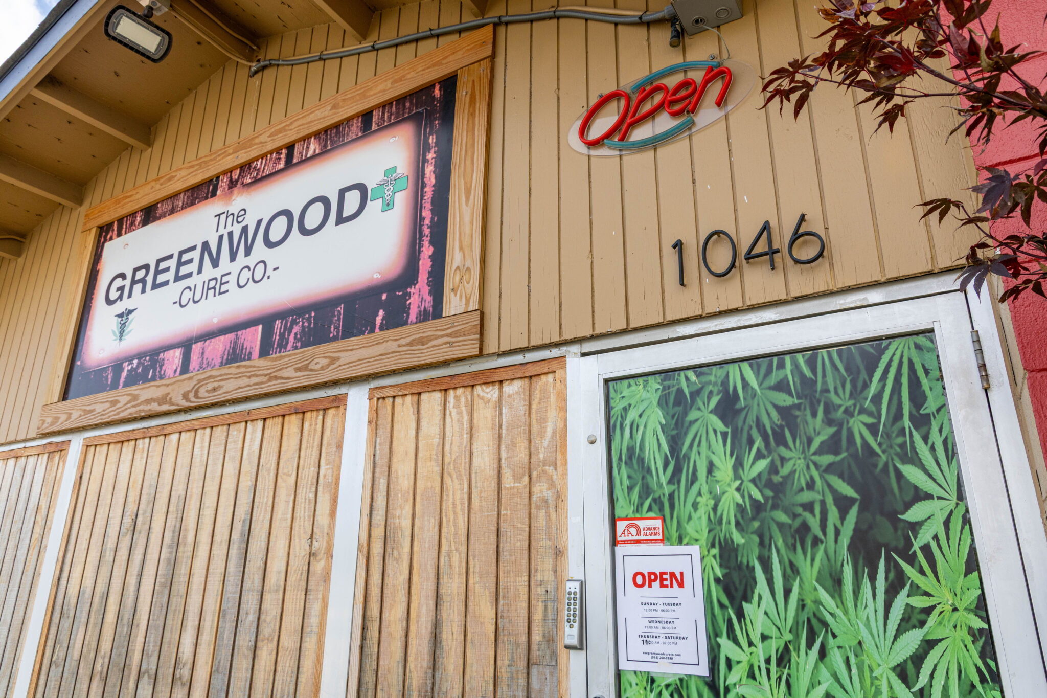 The Greenwood Cure.